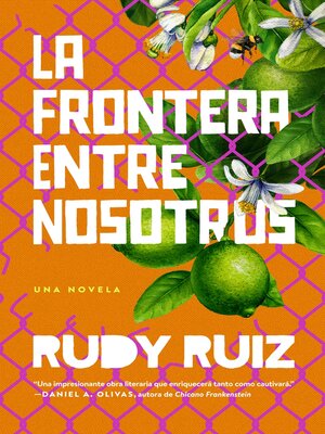 cover image of La Frontera Entre Nosotros